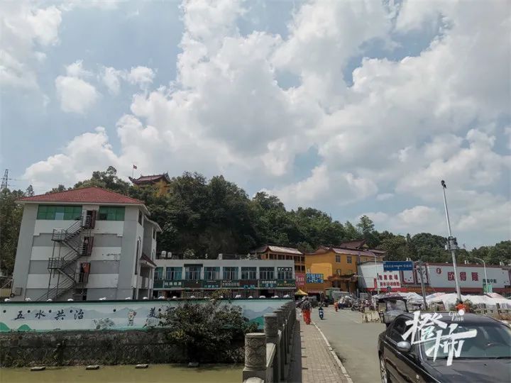 现场|温岭横峰菜场撞人者逃进山里,警方正在搜捕,橙柿互动持续跟踪!