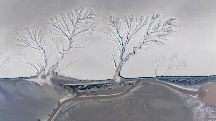 调色盘被打翻了!钱塘江畔现“大地指纹”