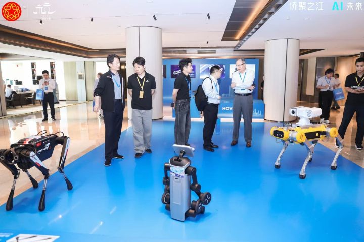 图片[2]-2025侨界精英大会在杭启幕，400+海内外精英共襄盛会聚焦AI创新-华闻时空